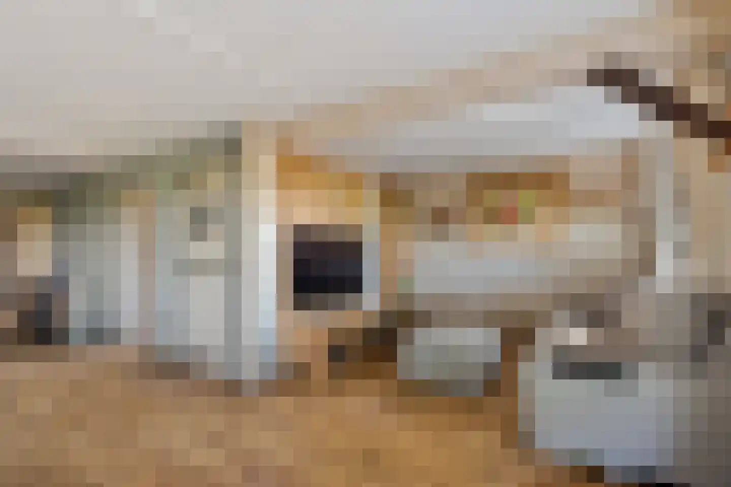 Zuiderdiep 343 Valthermond thumbnail 11