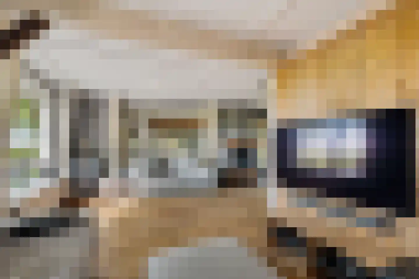 Zuiderdiep 343 Valthermond thumbnail 13