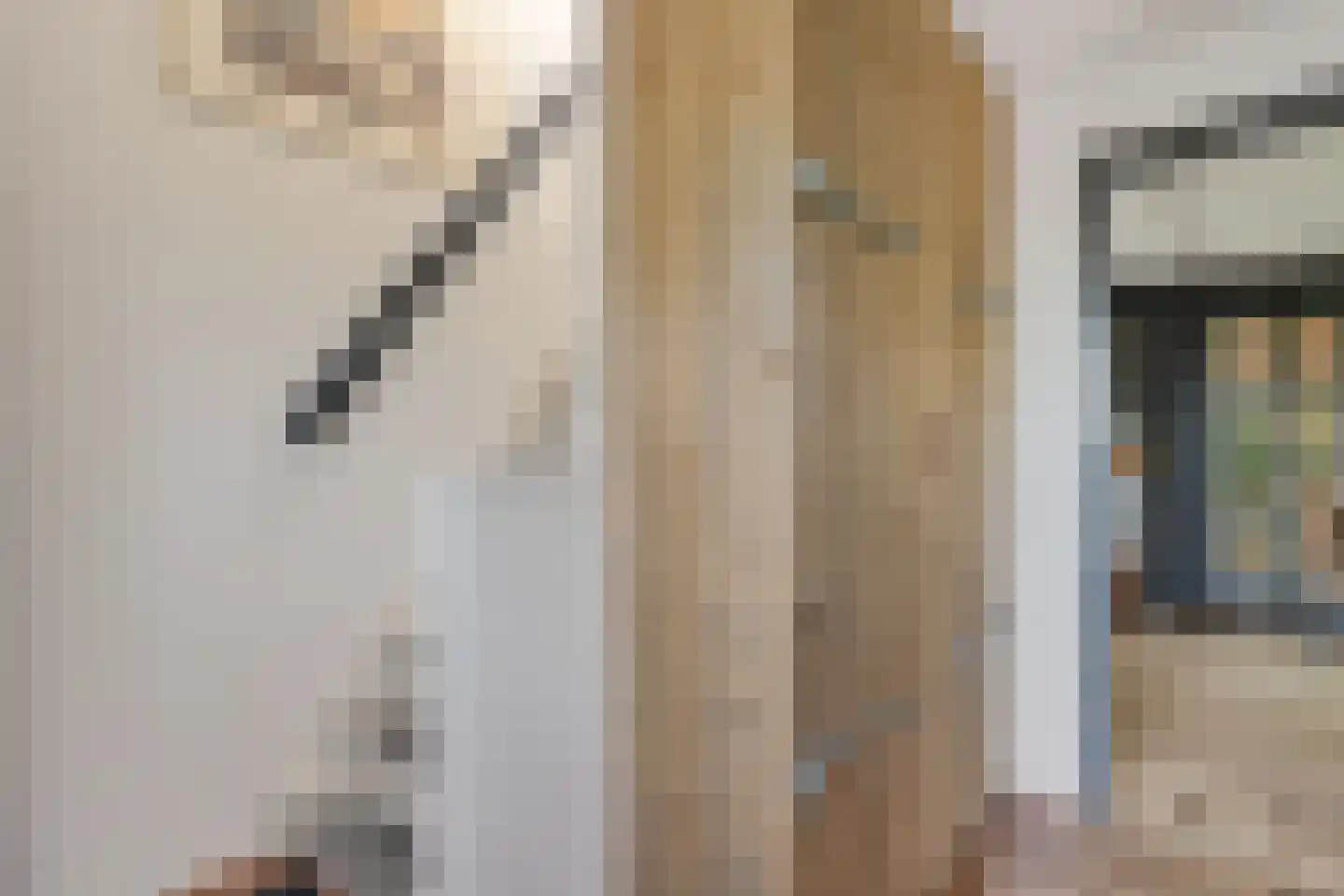 Zuiderdiep 343 Valthermond thumbnail 17