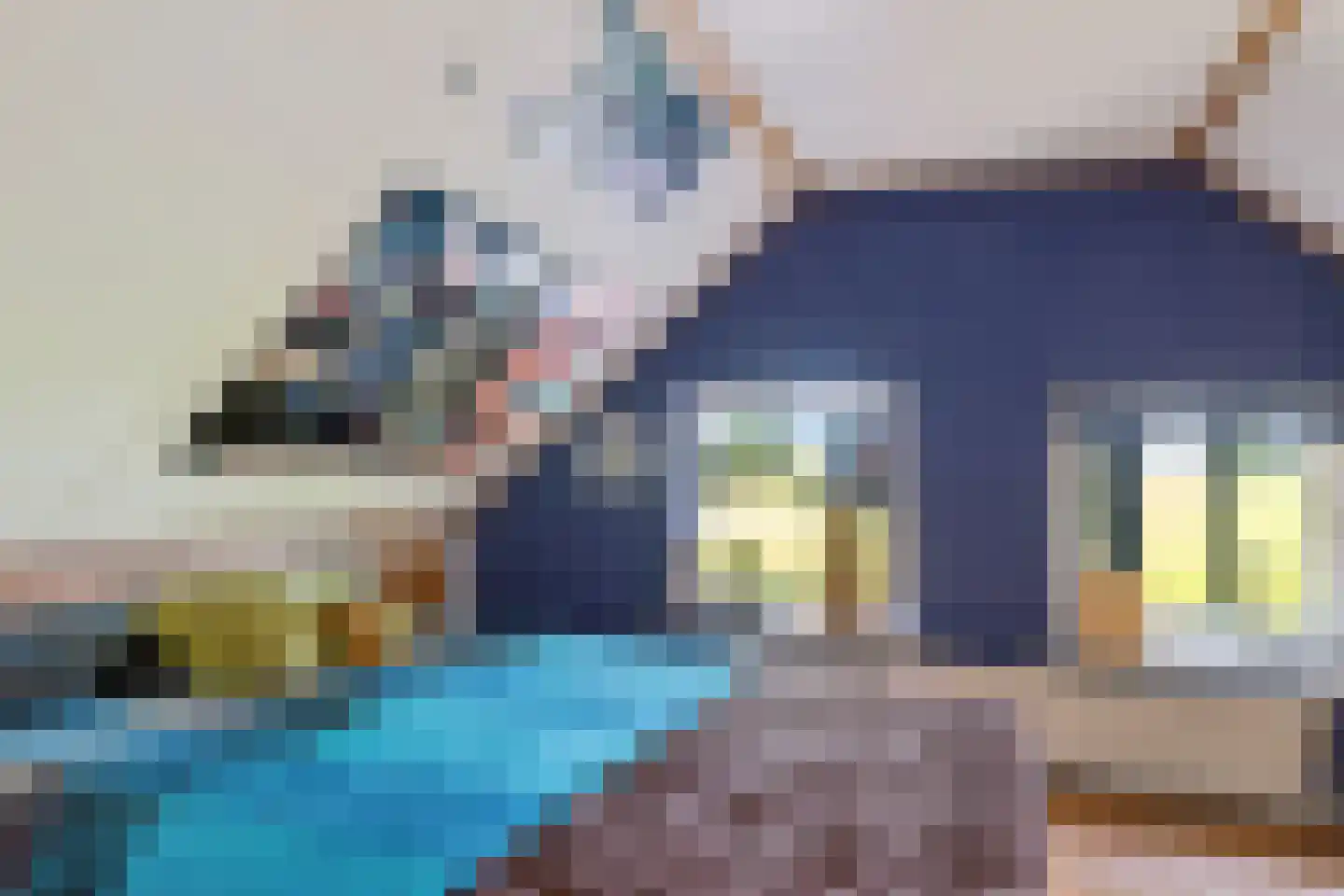 Zuiderdiep 343 Valthermond thumbnail 19