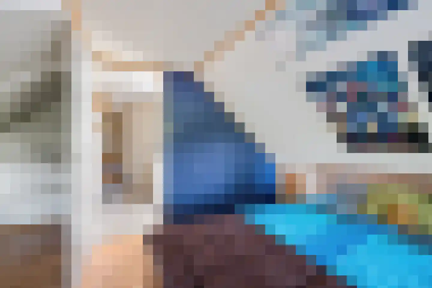 Zuiderdiep 343 Valthermond thumbnail 20