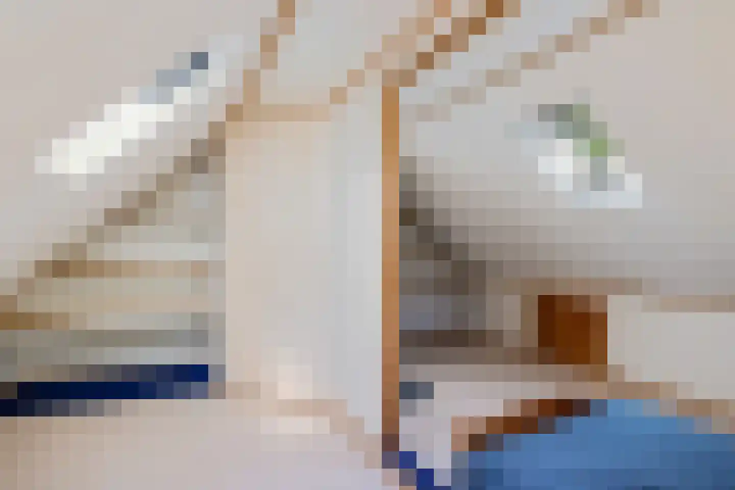 Zuiderdiep 343 Valthermond thumbnail 23