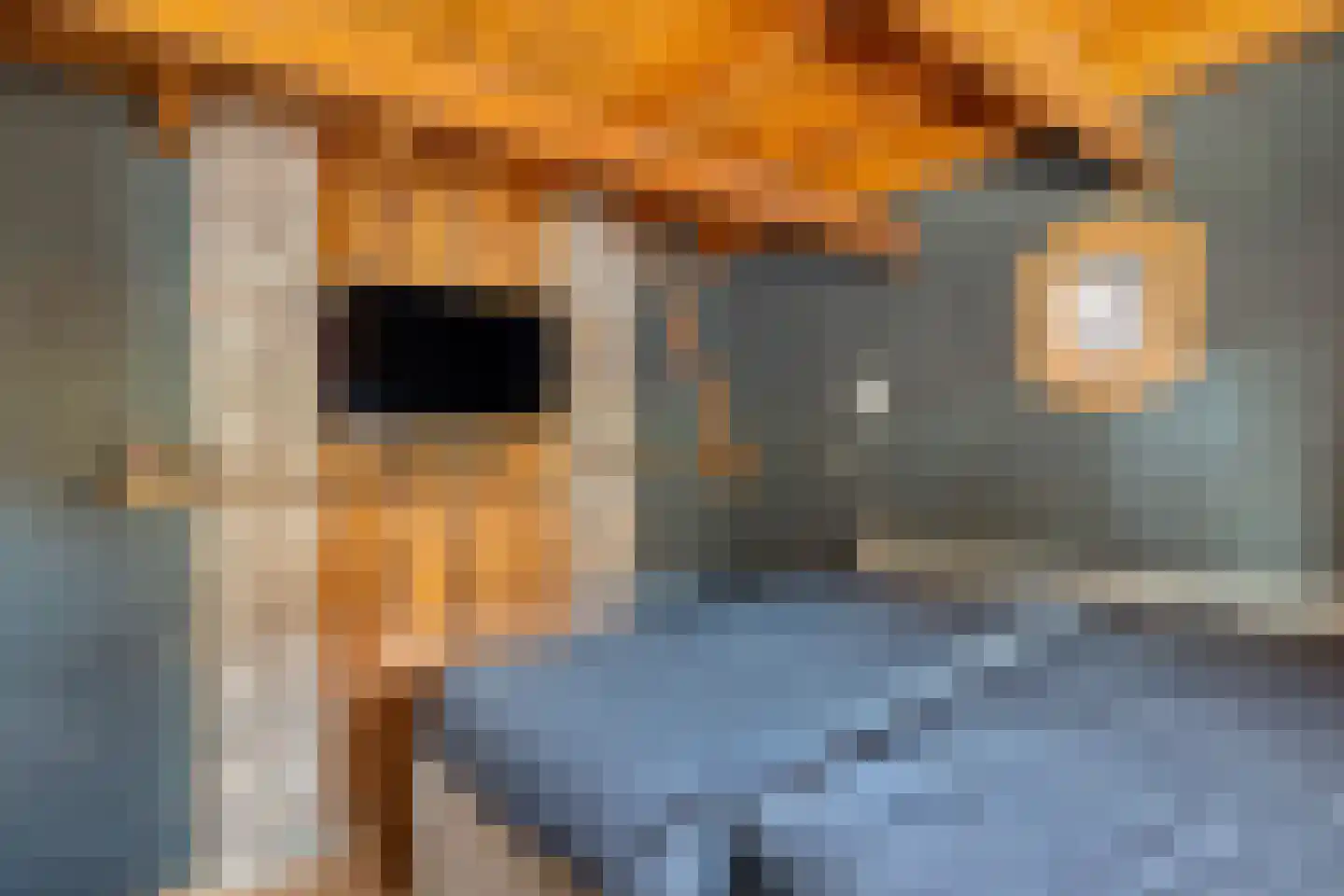 Zuiderdiep 343 Valthermond thumbnail 24