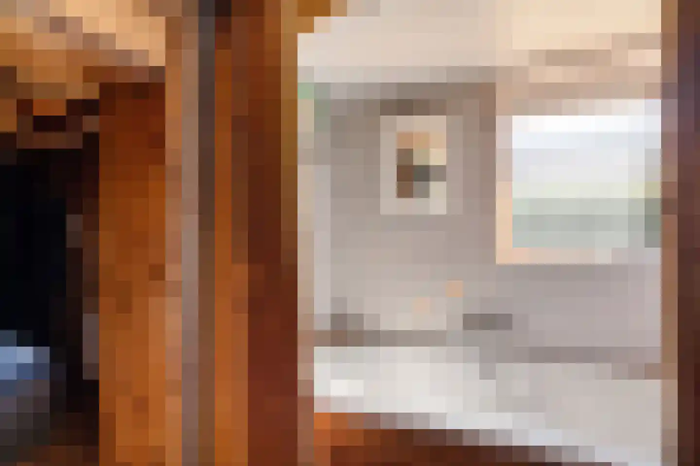 Zuiderdiep 343 Valthermond thumbnail 26