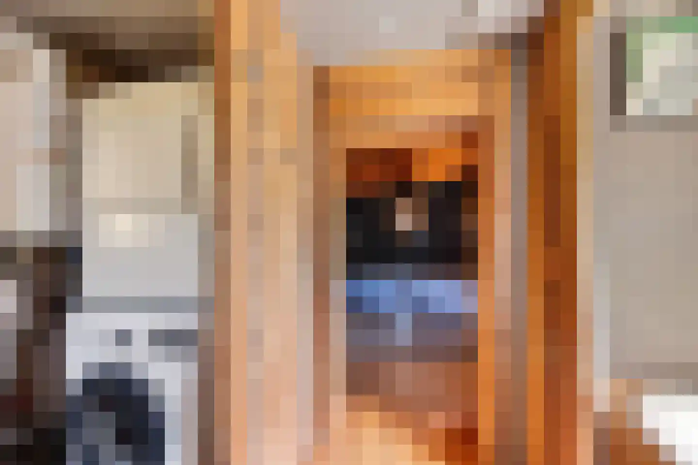 Zuiderdiep 343 Valthermond thumbnail 27