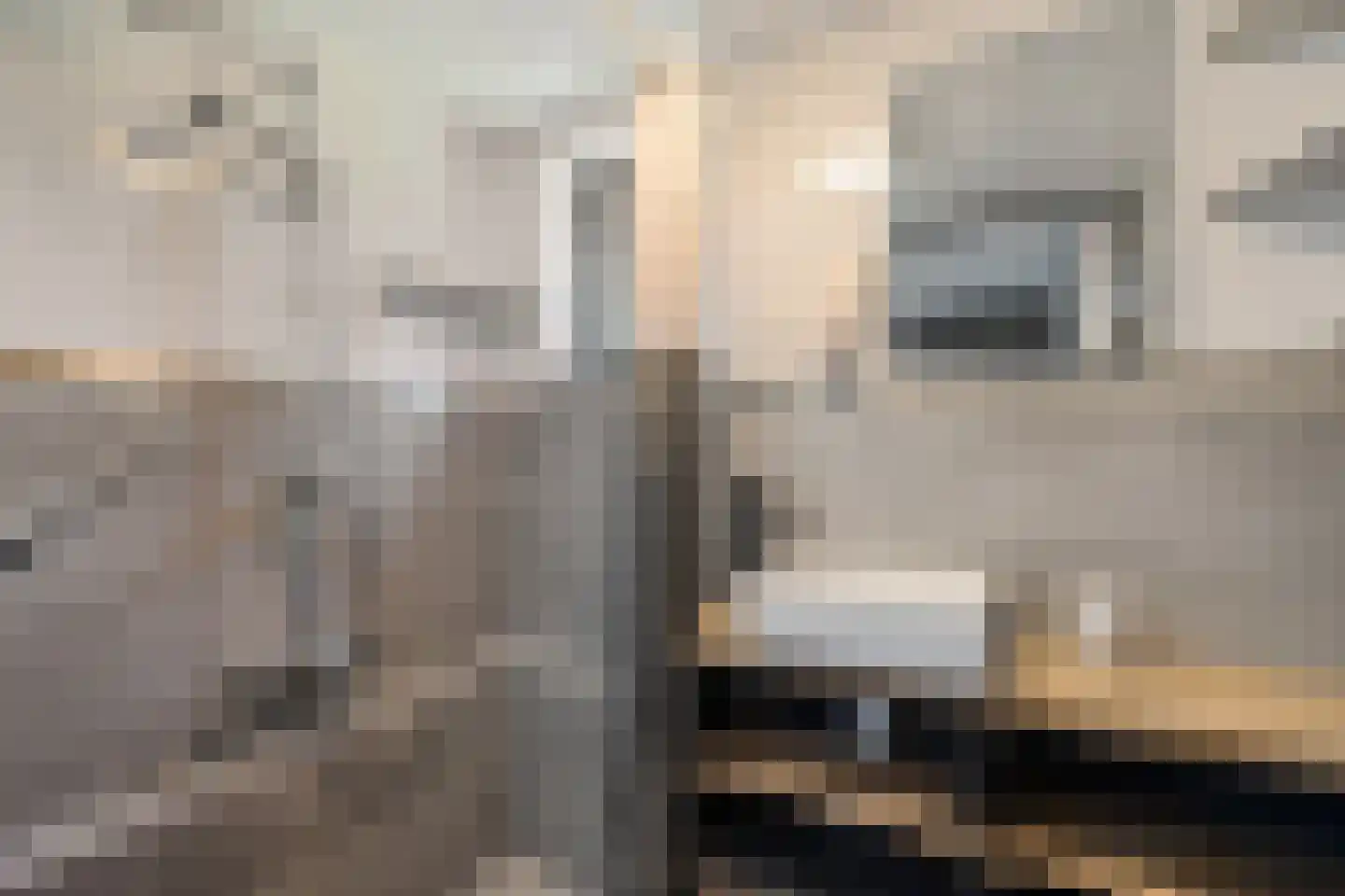 Zuiderdiep 343 Valthermond thumbnail 28