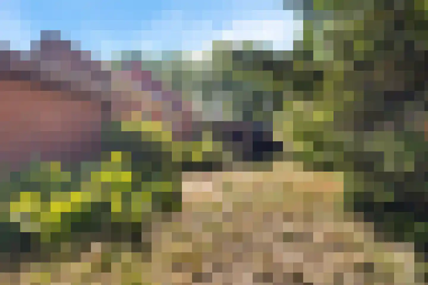 Zuiderdiep 343 Valthermond thumbnail 32