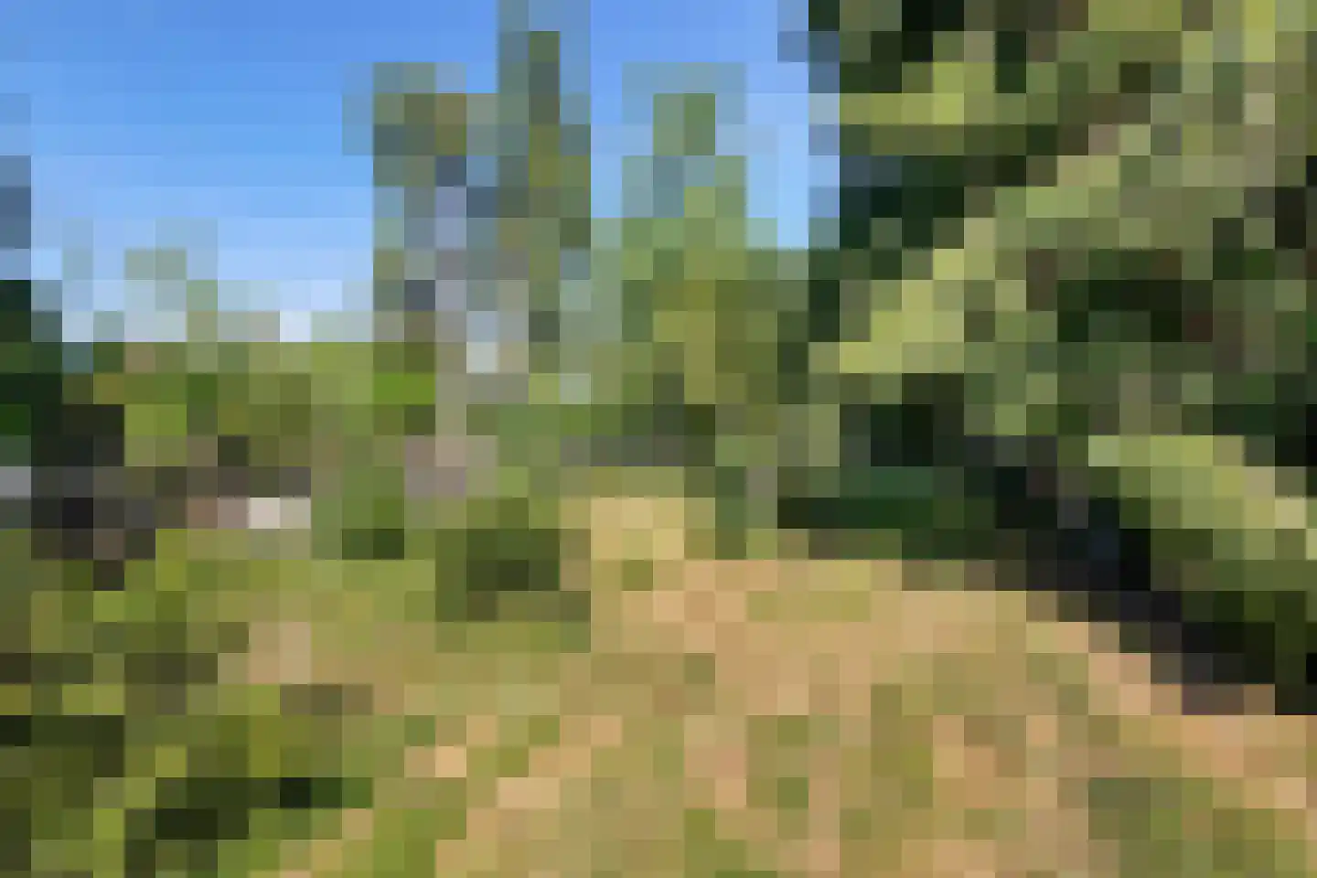 Zuiderdiep 343 Valthermond thumbnail 33
