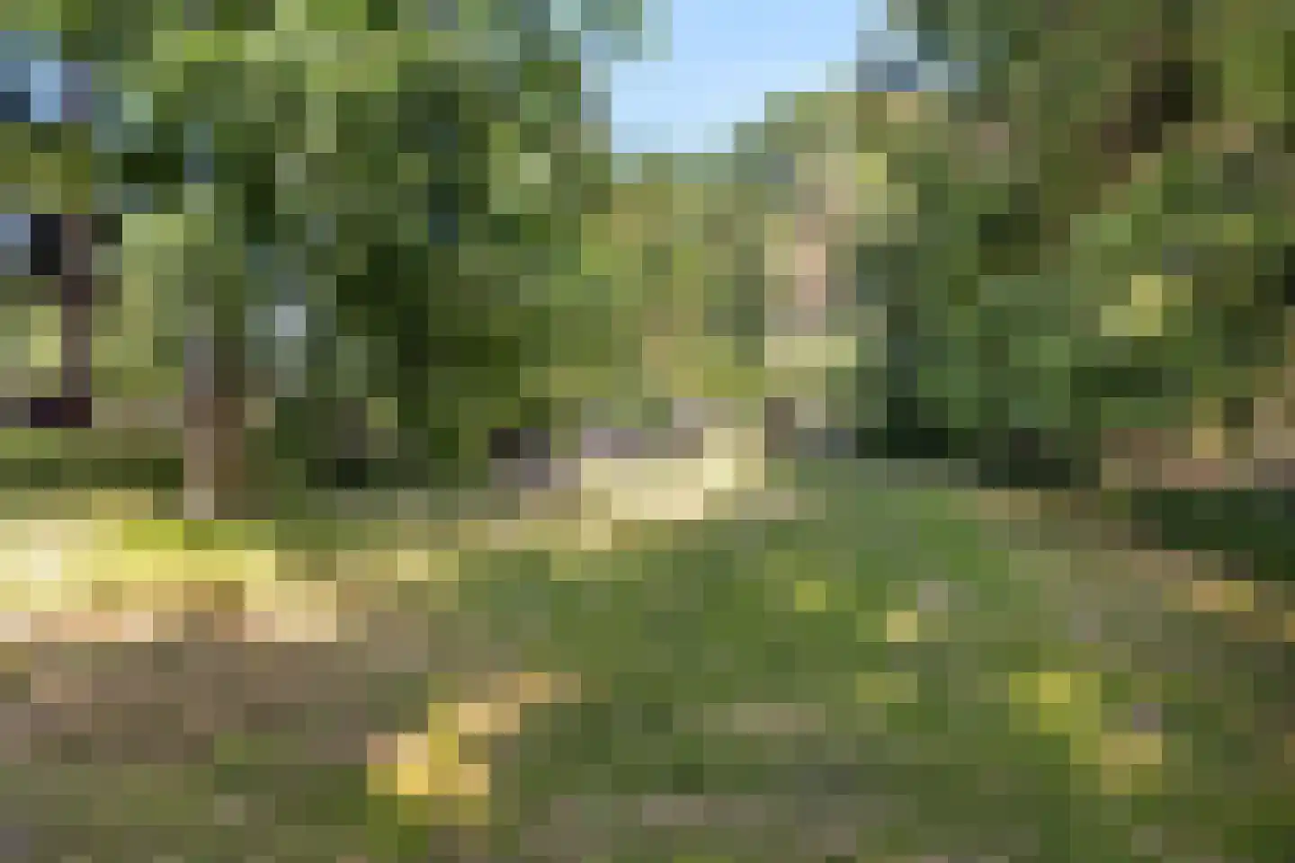 Zuiderdiep 343 Valthermond thumbnail 34