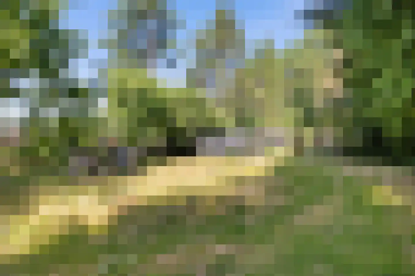Zuiderdiep 343 Valthermond thumbnail 35