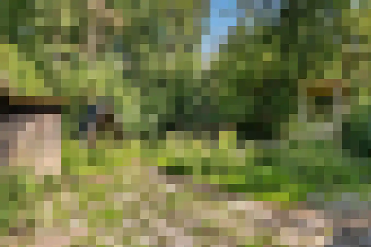 Zuiderdiep 343 Valthermond thumbnail 37