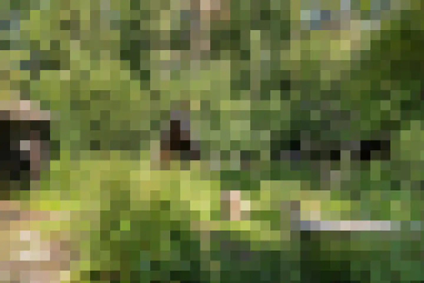 Zuiderdiep 343 Valthermond thumbnail 38
