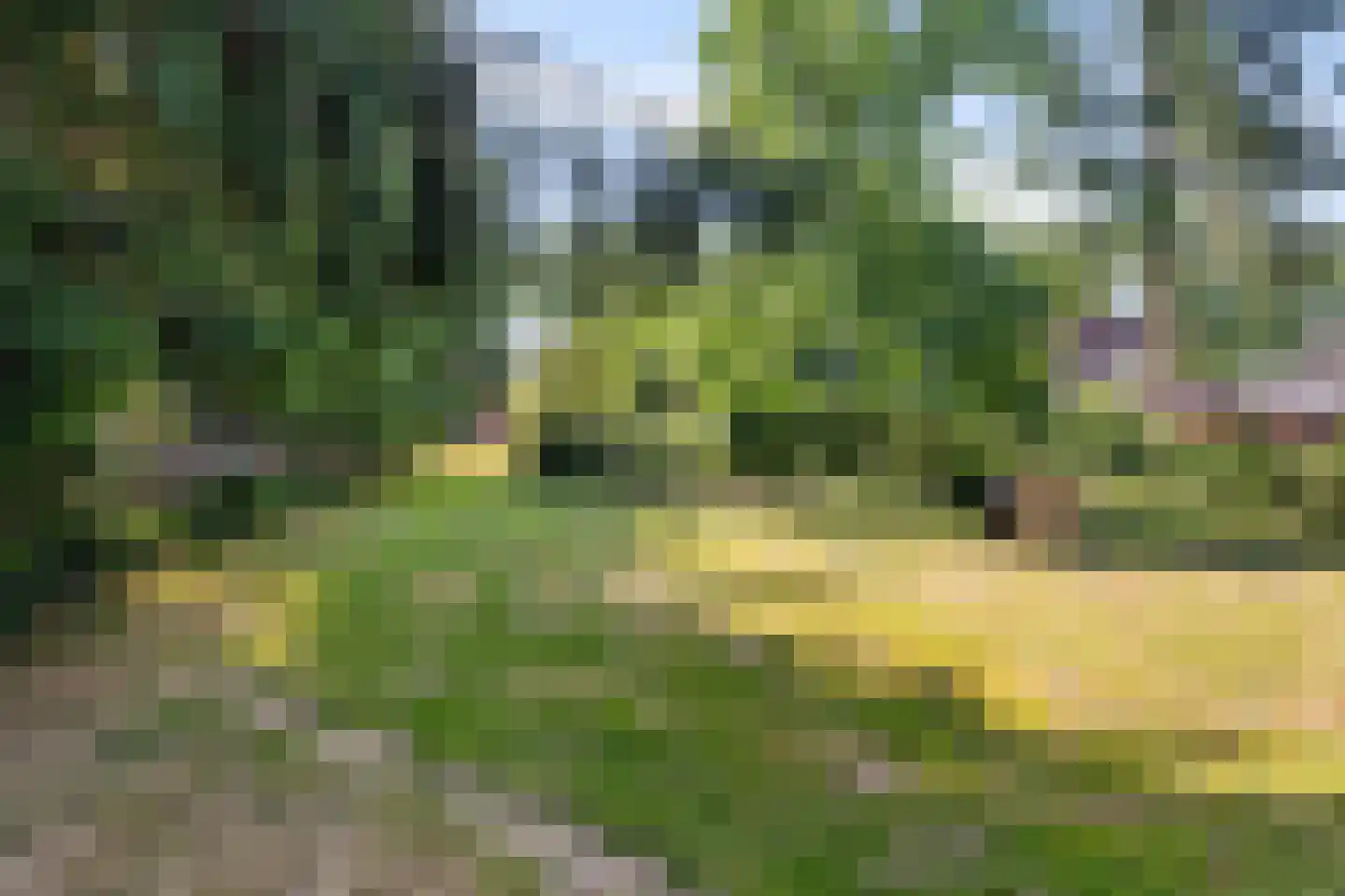 Zuiderdiep 343 Valthermond thumbnail 39