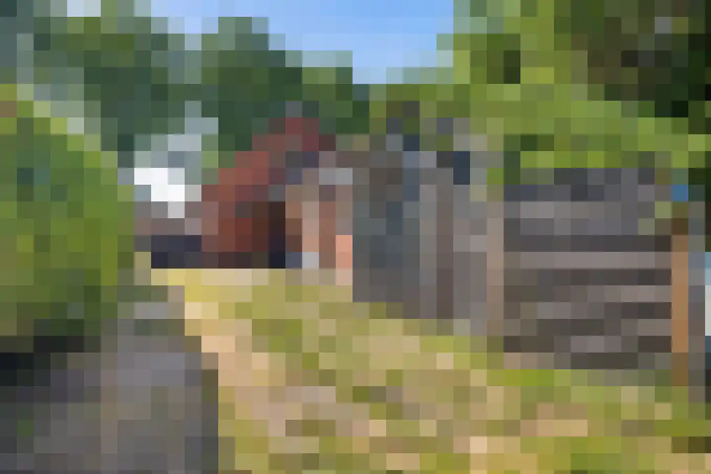 Zuiderdiep 343 Valthermond thumbnail 40