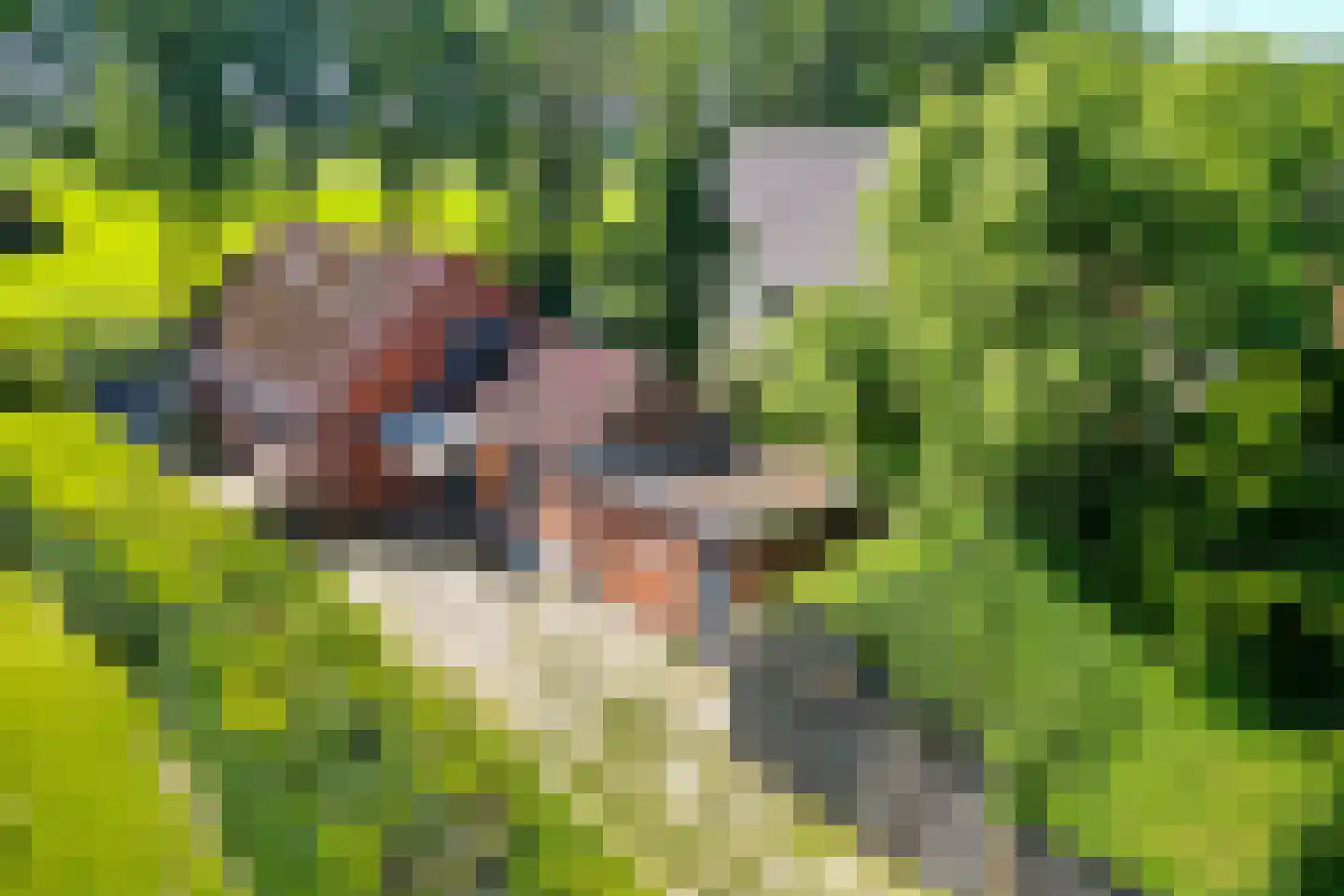 Zuiderdiep 343 Valthermond thumbnail 43
