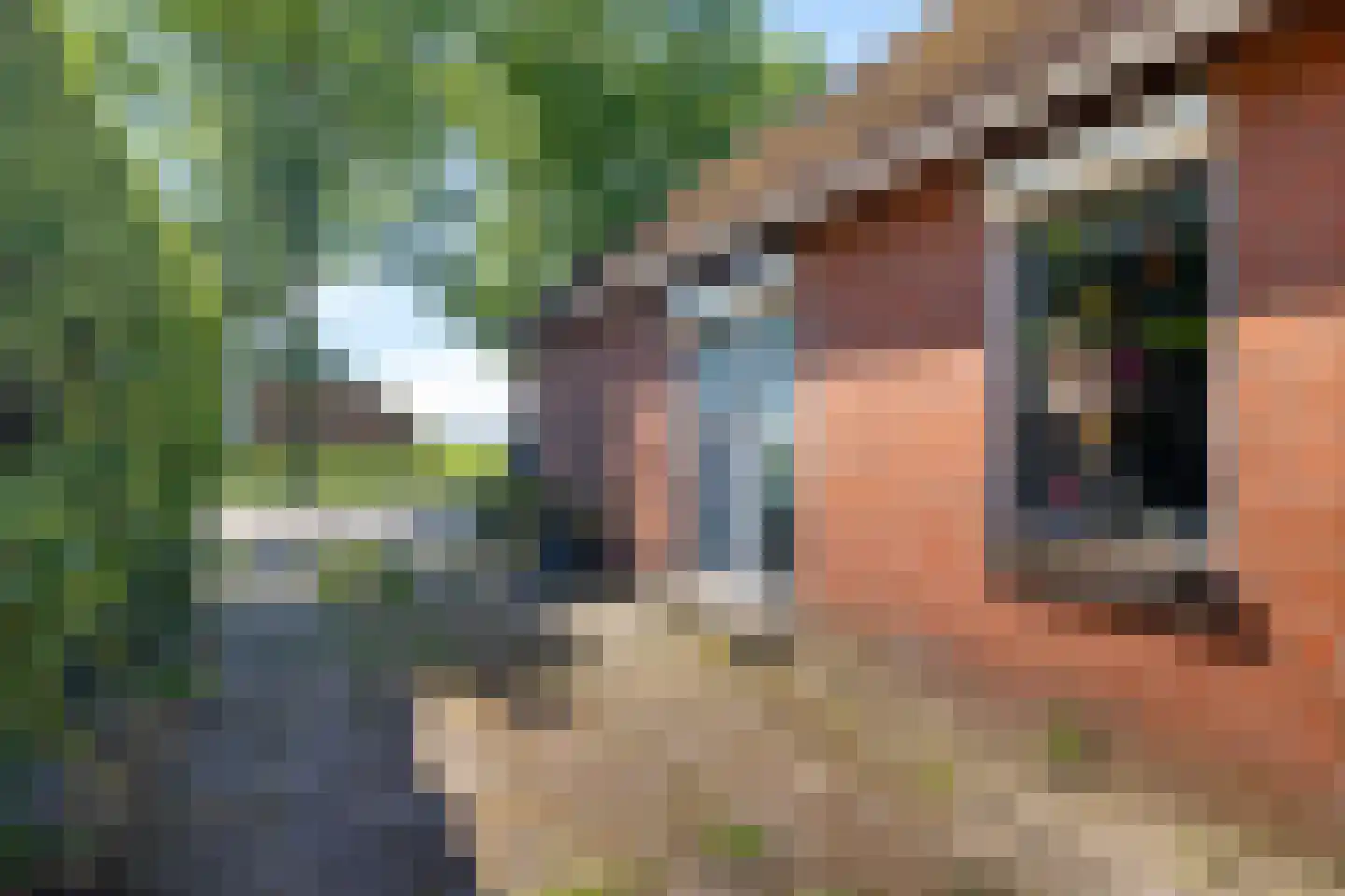 Zuiderdiep 343 Valthermond thumbnail 5