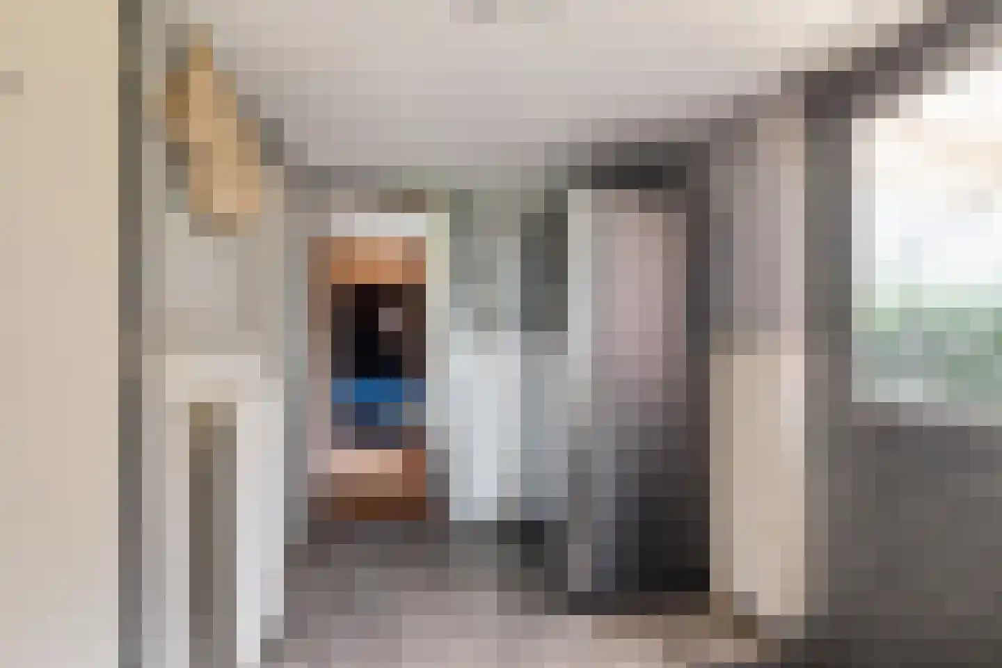 Zuiderdiep 343 Valthermond thumbnail 6