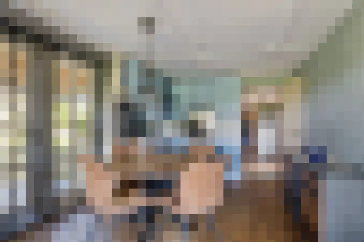 Zuiderdiep 343 Valthermond thumbnail 8