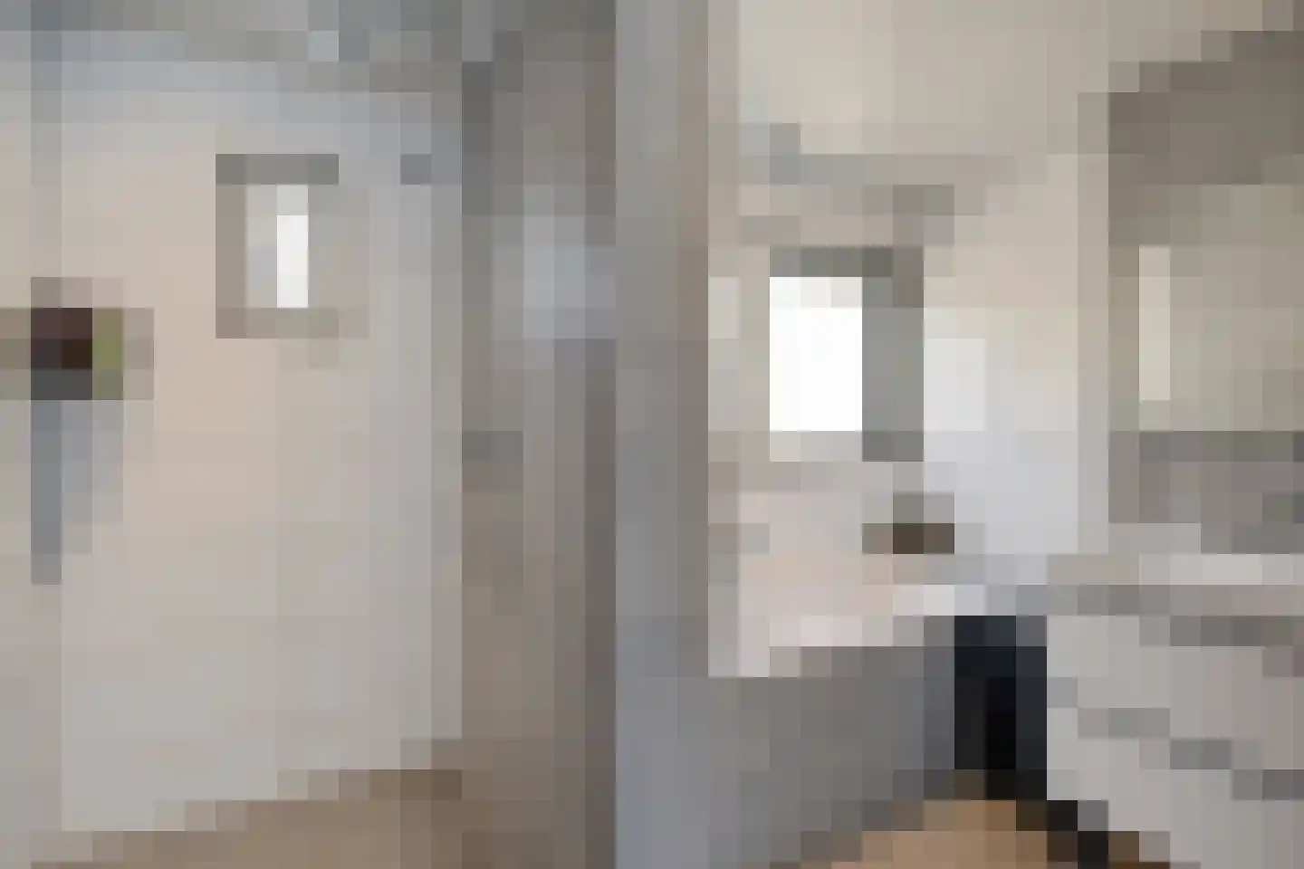 Zuiderdiep 345 2e Exloërmond thumbnail 19