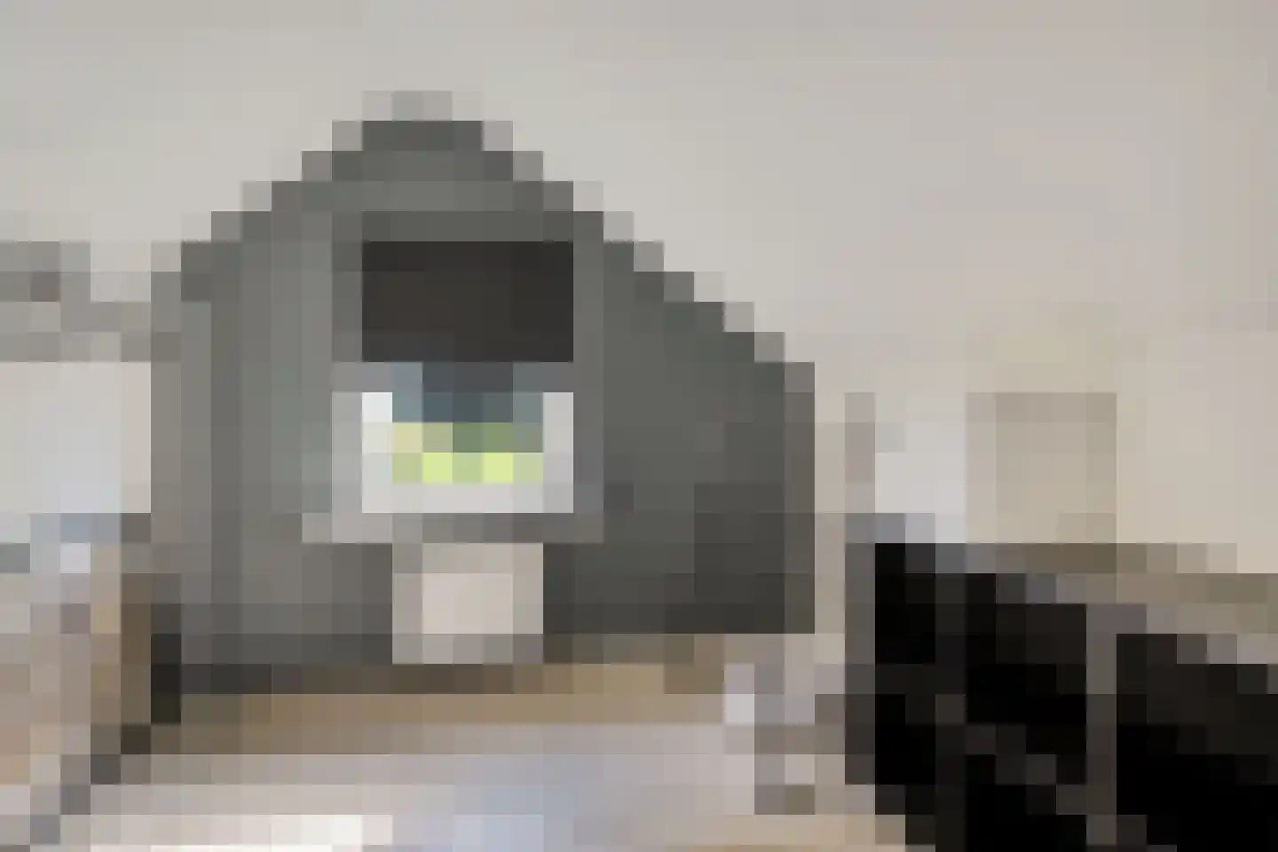 Zuiderdiep 345 2e Exloërmond thumbnail 25