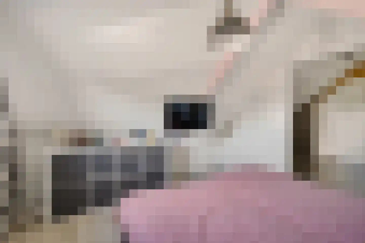 Zuiderdiep 345 2e Exloërmond thumbnail 29