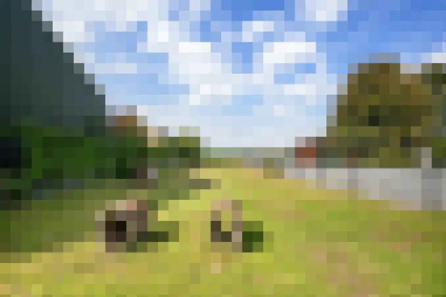 Zuiderdiep 345 2e Exloërmond thumbnail 36