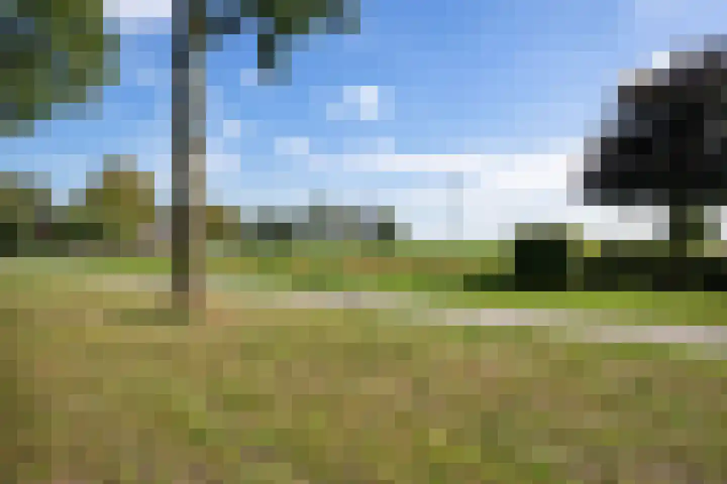 Zuiderdiep 345 2e Exloërmond thumbnail 45