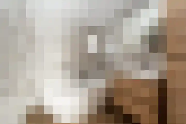 Zuiderdiep 352 2e Exloërmond thumbnail 11