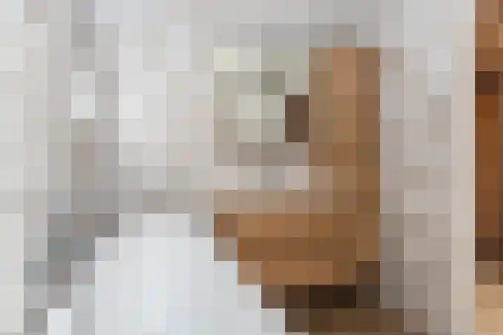 Zuiderdiep 352 2e Exloërmond thumbnail 13