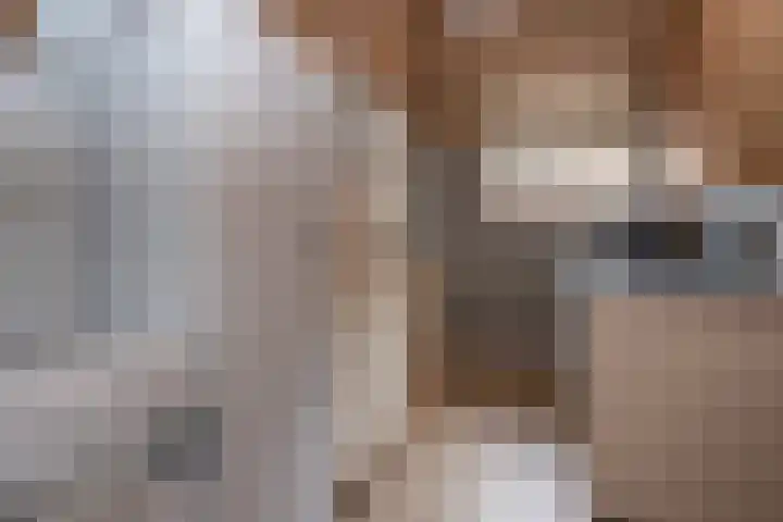 Zuiderdiep 352 2e Exloërmond thumbnail 16