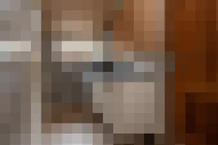 Zuiderdiep 352 2e Exloërmond thumbnail 17