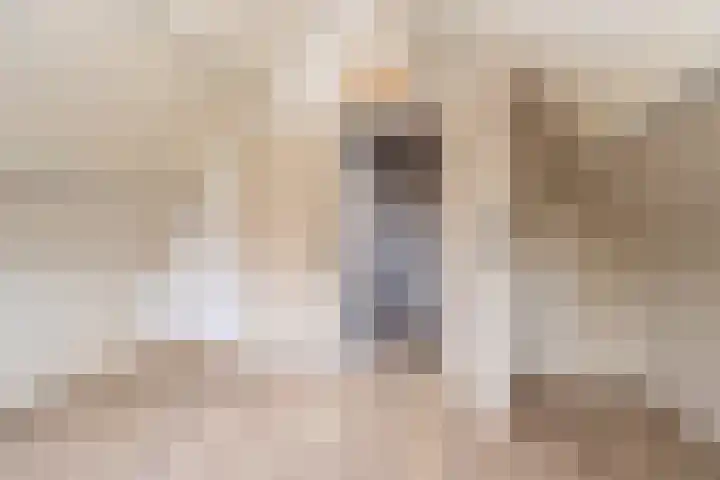 Zuiderdiep 352 2e Exloërmond thumbnail 25