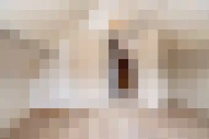 Zuiderdiep 352 2e Exloërmond thumbnail 26