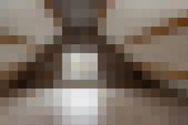 Zuiderdiep 352 2e Exloërmond thumbnail 28