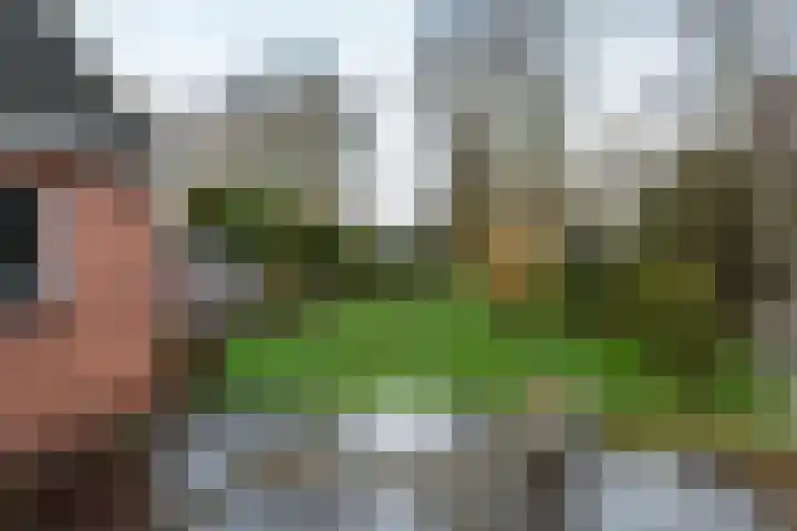 Zuiderdiep 352 2e Exloërmond thumbnail 31