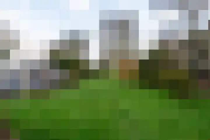 Zuiderdiep 352 2e Exloërmond thumbnail 34