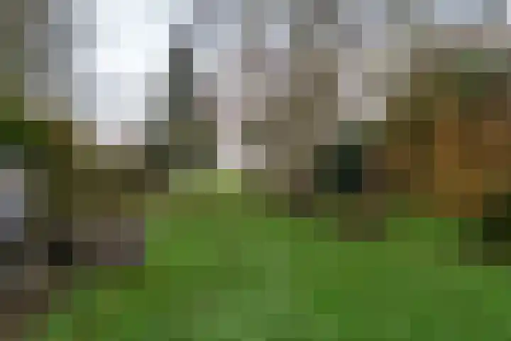 Zuiderdiep 352 2e Exloërmond thumbnail 35