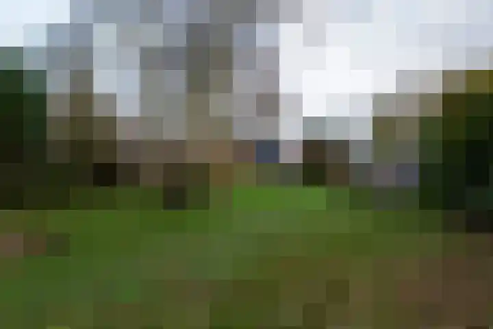 Zuiderdiep 352 2e Exloërmond thumbnail 39