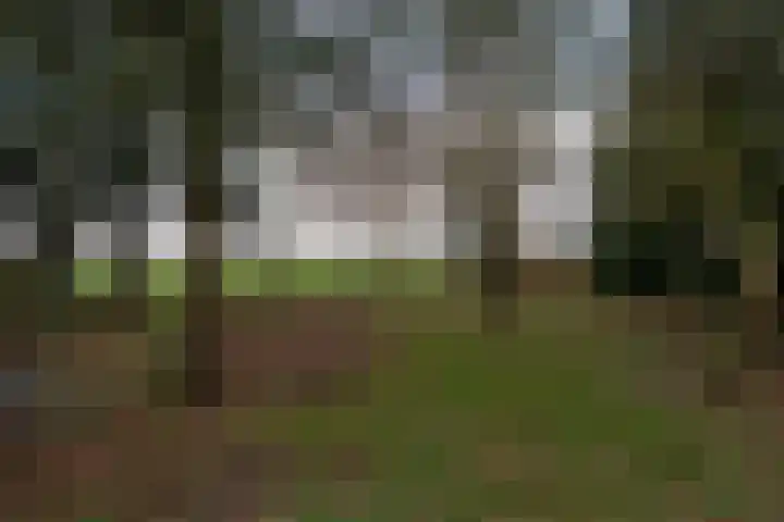 Zuiderdiep 352 2e Exloërmond thumbnail 40