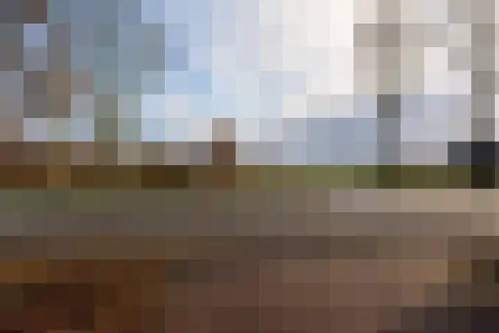 Zuiderdiep 352 2e Exloërmond thumbnail 42