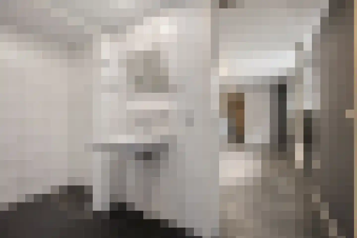 Zuiderdiep 353 2e Exloërmond thumbnail 20
