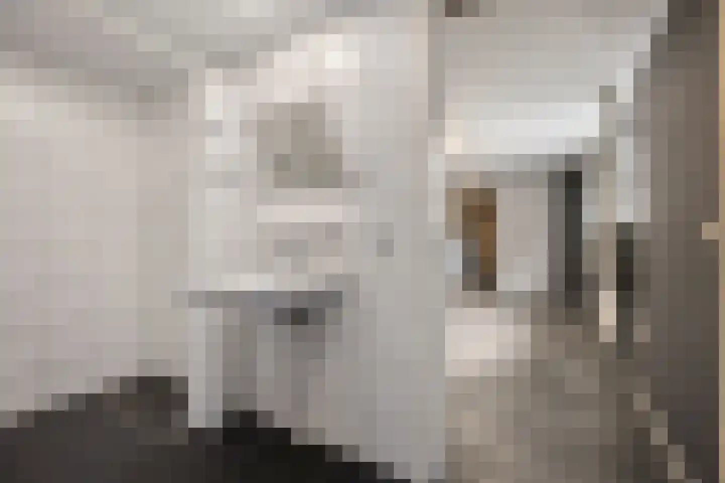 Zuiderdiep 353 2e Exloërmond thumbnail 20
