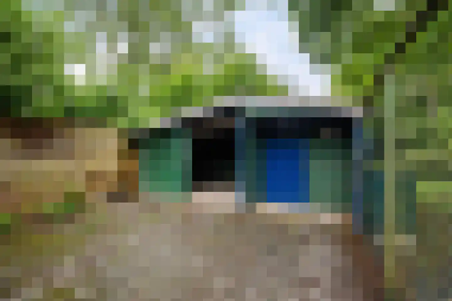 Zuiderdiep 353 2e Exloërmond thumbnail 35