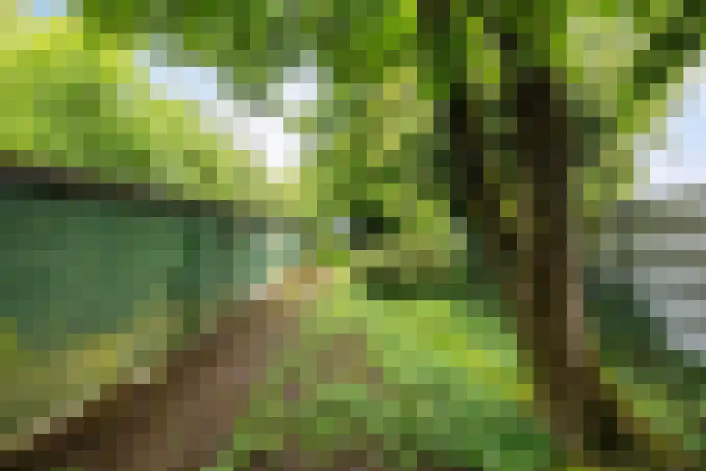 Zuiderdiep 353 2e Exloërmond thumbnail 36