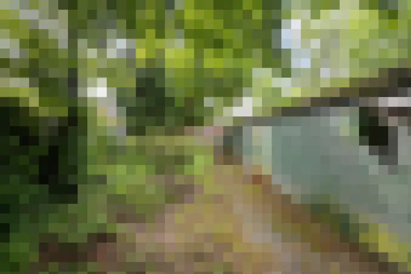 Zuiderdiep 353 2e Exloërmond thumbnail 37