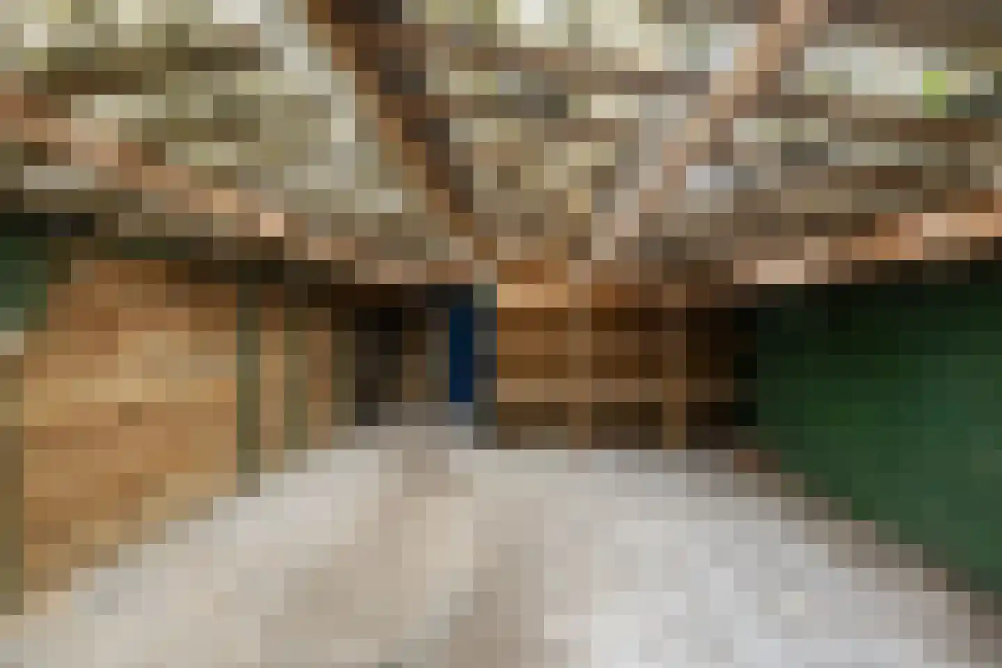 Zuiderdiep 353 2e Exloërmond thumbnail 38