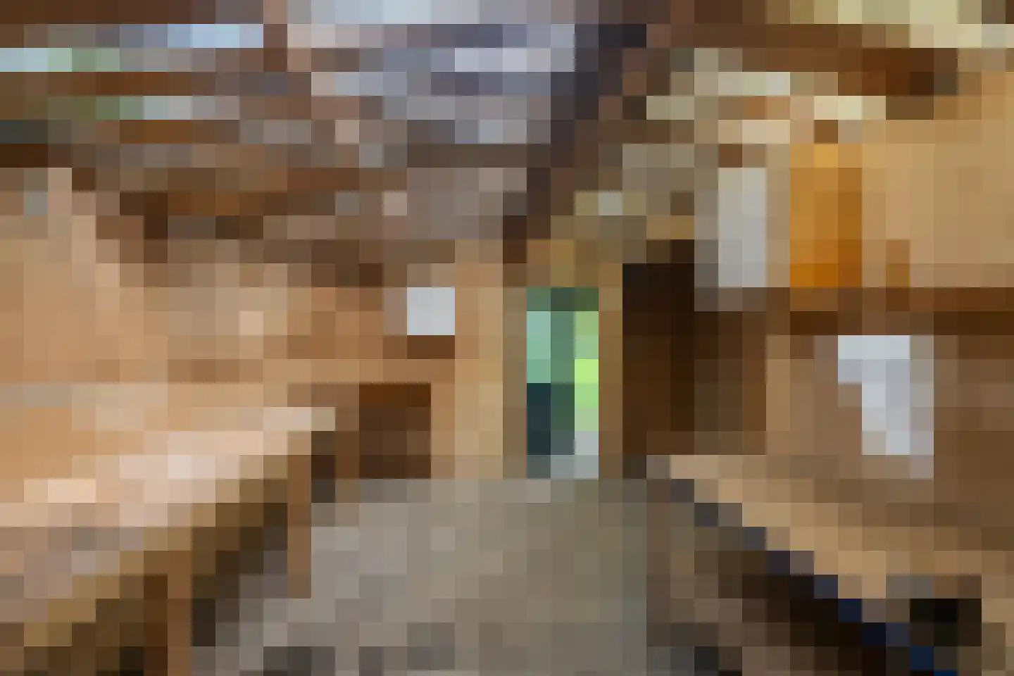 Zuiderdiep 353 2e Exloërmond thumbnail 39