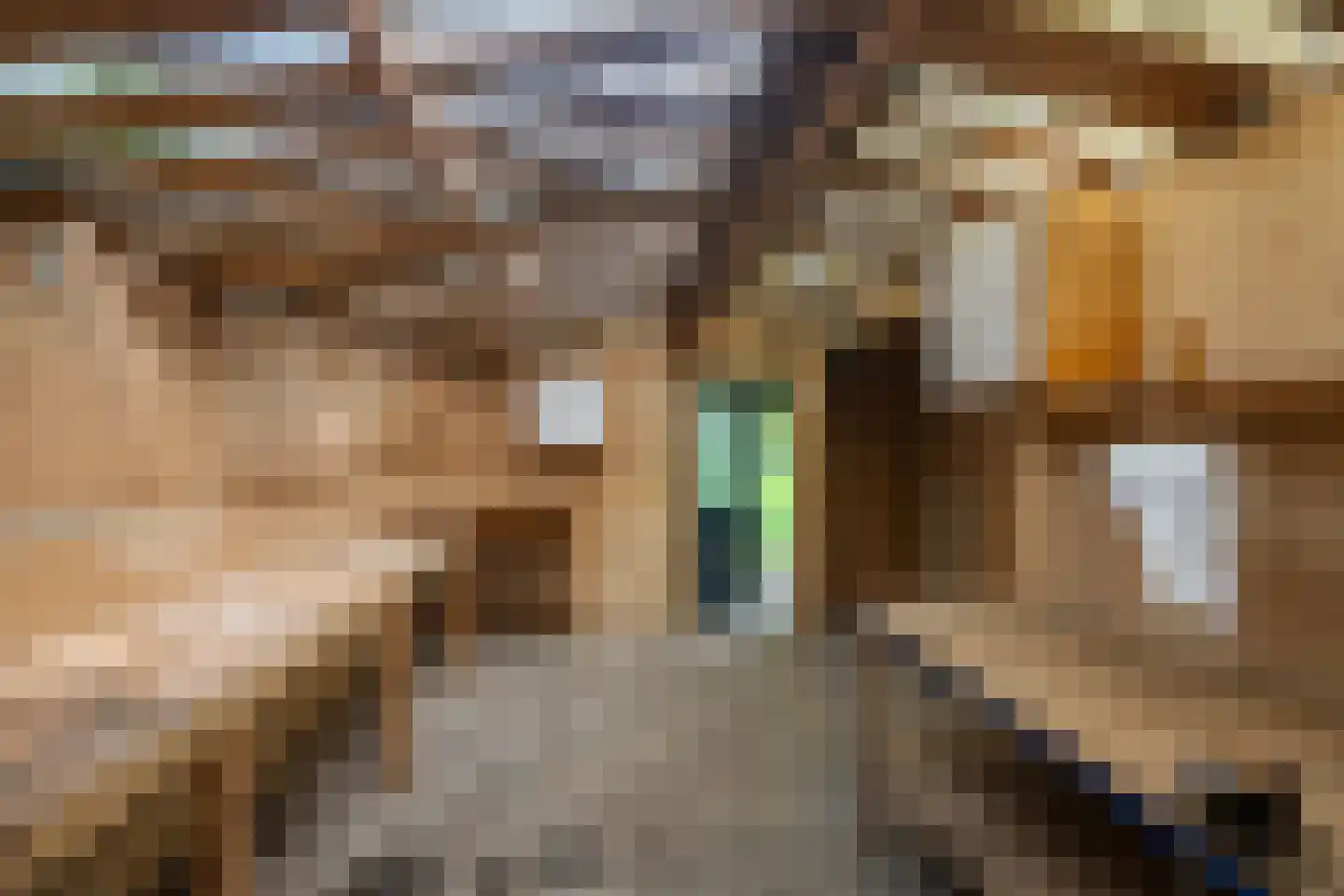 Zuiderdiep 353 2e Exloërmond thumbnail 39