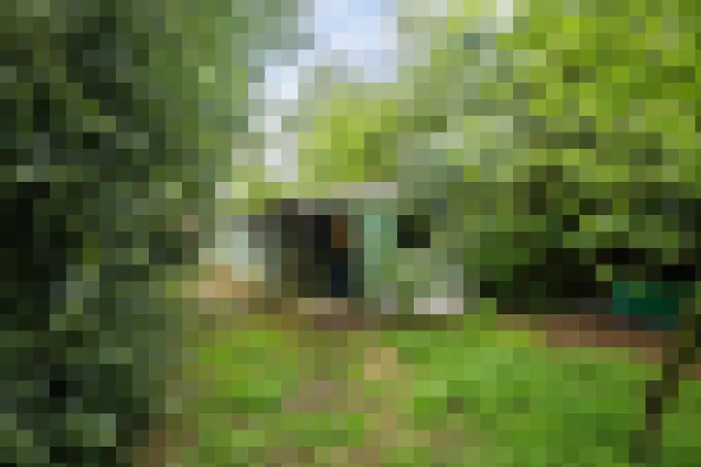 Zuiderdiep 353 2e Exloërmond thumbnail 40