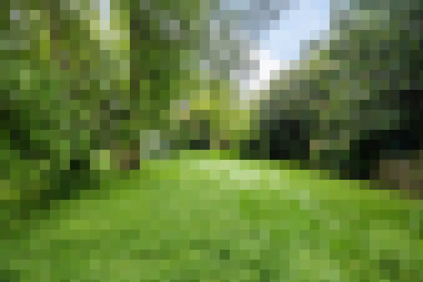 Zuiderdiep 353 2e Exloërmond thumbnail 41
